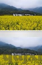 动感之星福利一区二区-动感之星，福利一区二区的多彩生活画卷