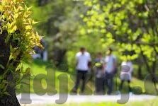 麻豆91av在线-网络边缘的灰色地带——对网络内容与平台责任的反思