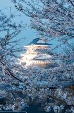 麻豆传媒综合-麻豆传媒综合平台，多元化与创新并进的数字时代内容观察
