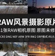 免费麻豆文化传媒-解析免费麻豆文化传媒的多元化影响力与用户互动新体验