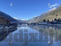 向日葵视频成人app-探索向日葵视频成人app，网络文化与个人选择的交汇