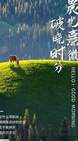 亚洲图欧美图日韩av-亚洲文化交流的多元视角，图、欧美图与日韩AV的融合与影响